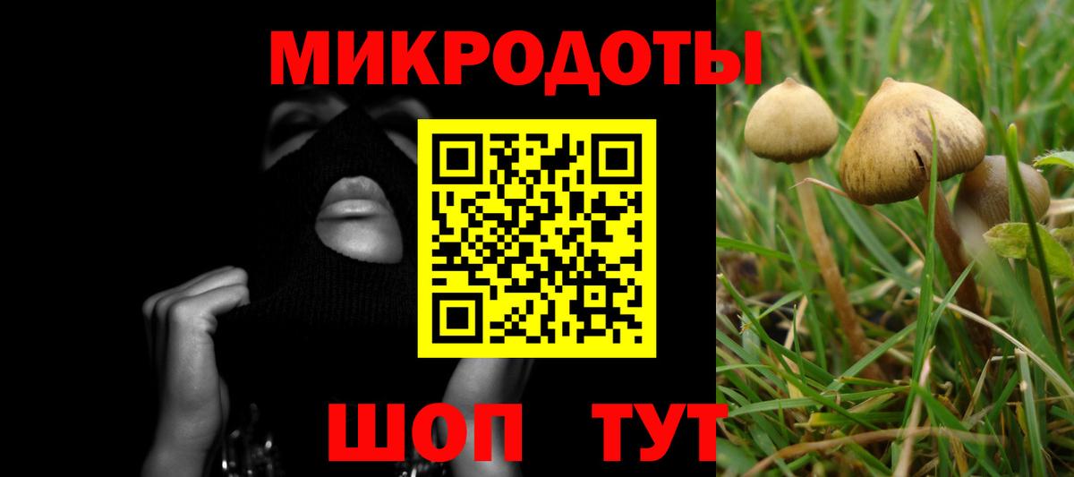 Галлюциногенные грибы GOLDEN TEACHER Брянск